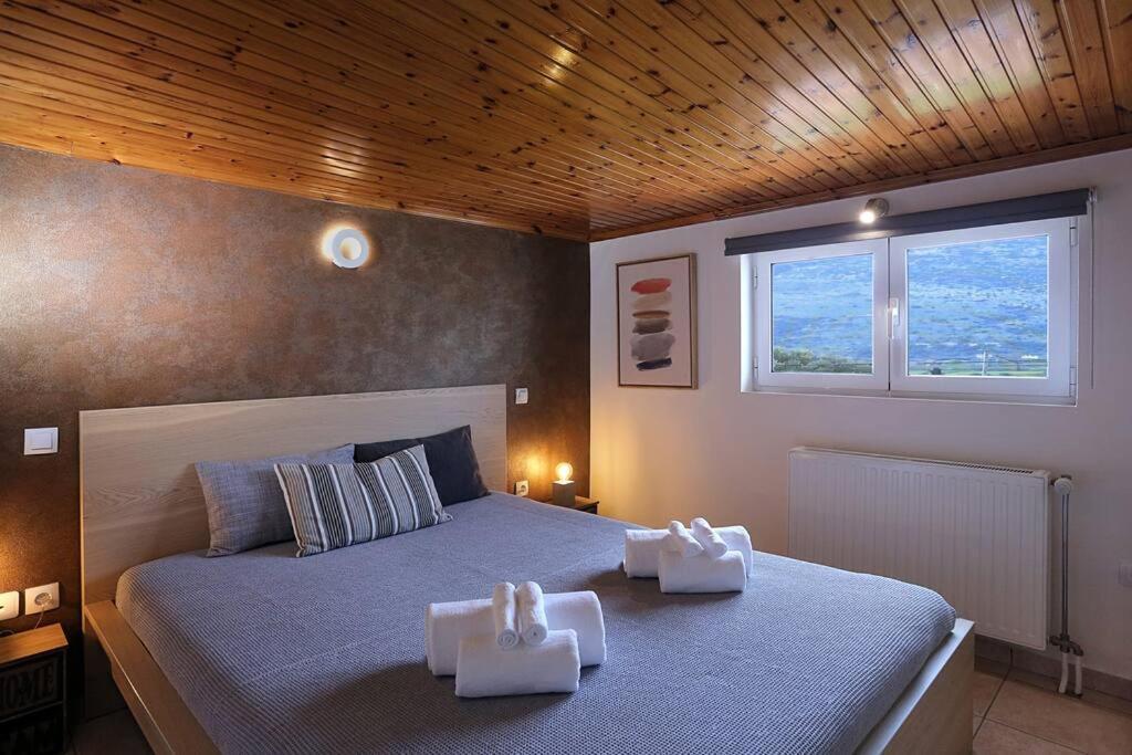 伊古迈尼察"Elegant & Quiet House"公寓 外观 照片